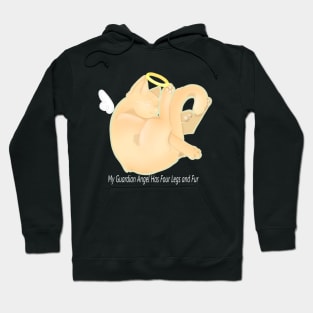 Guardian Angel Ginger Hoodie